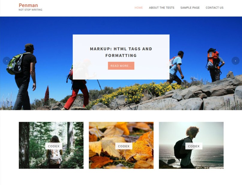 Minimal Blog Themes