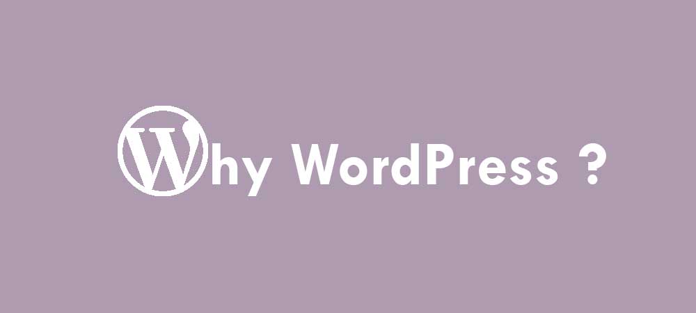 reasons to choose WordPress