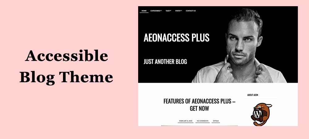accessible blog theme